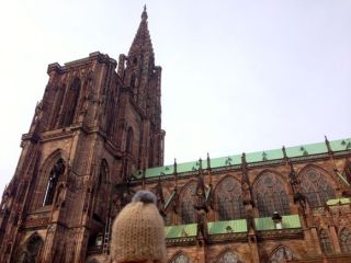 globe-t-bonnet-voyageur-travelling-winter-hat-strasbourg-cathedraleB